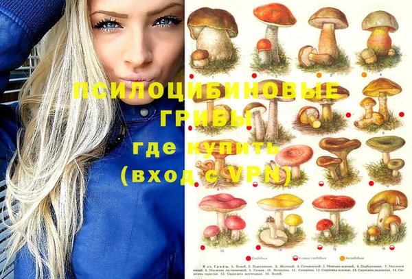 круглые Карпинск