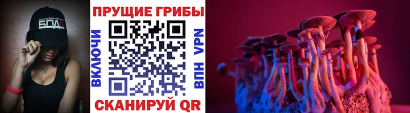 Псилоцибиновые грибы GOLDEN TEACHER  Купить где  Баксан 